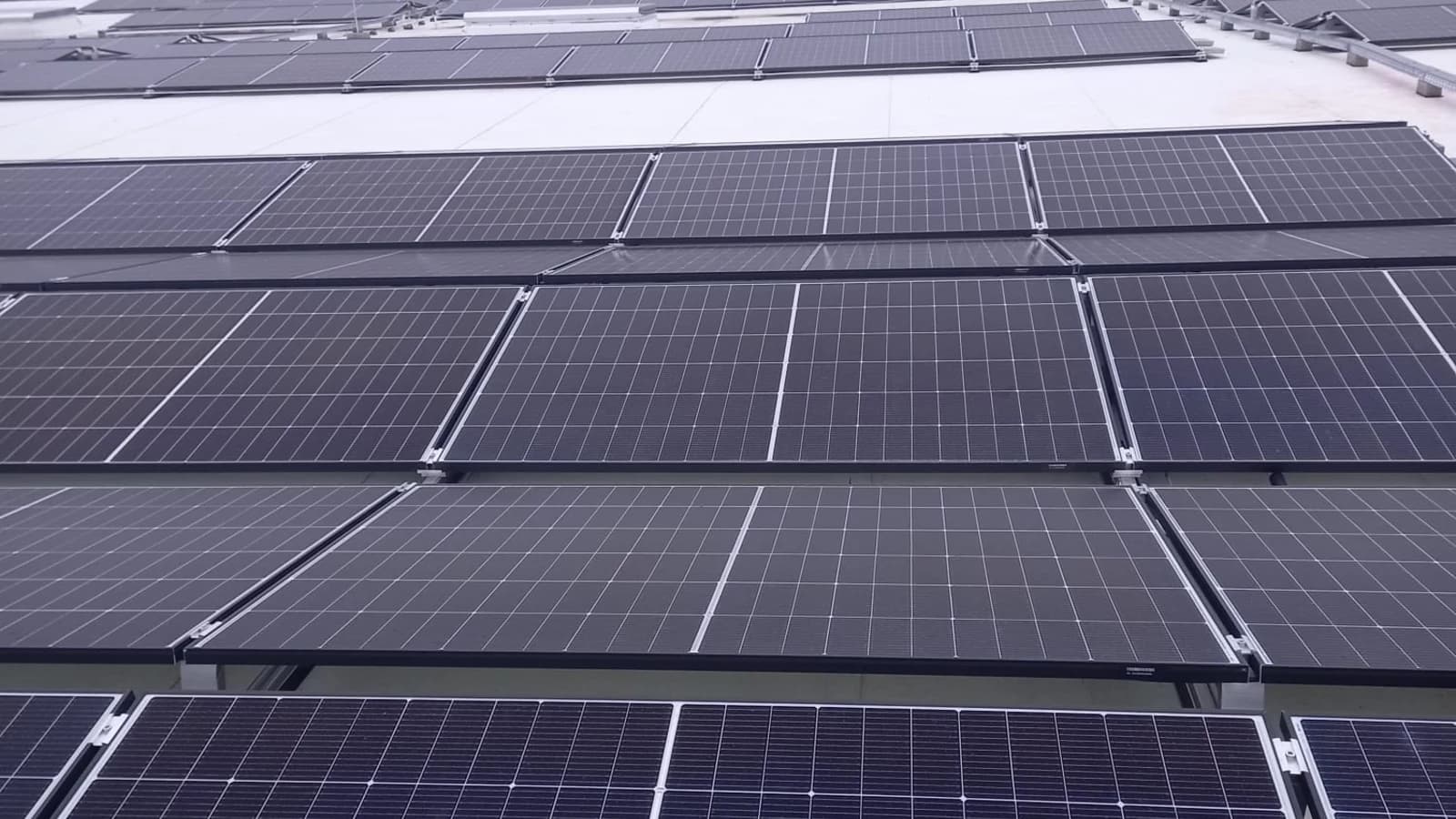 Detail van meerdere zonnepanelen op een bedrijfsdak