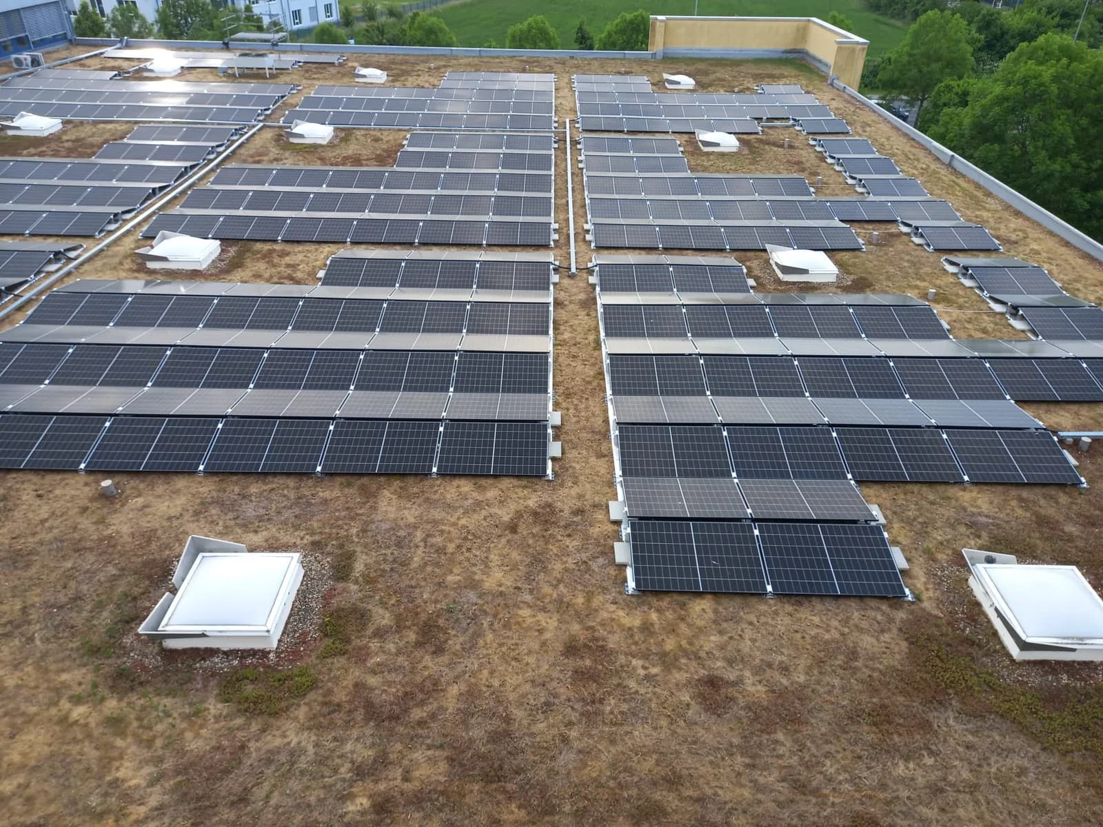 Overzicht van zonnepanelen op een groen bedrijfsdak